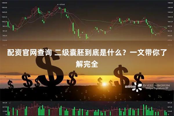 配资官网查询 二级囊胚到底是什么？一文带你了解完全