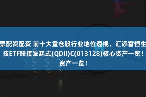 股票配资配资 前十大重仓股行业地位透视，汇添富恒生科技ETF联接发起式(QDII)C(013128)核心资产一览！