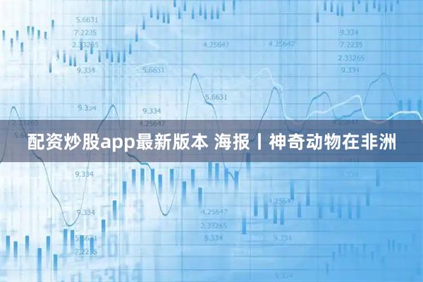 配资炒股app最新版本 海报丨神奇动物在非洲